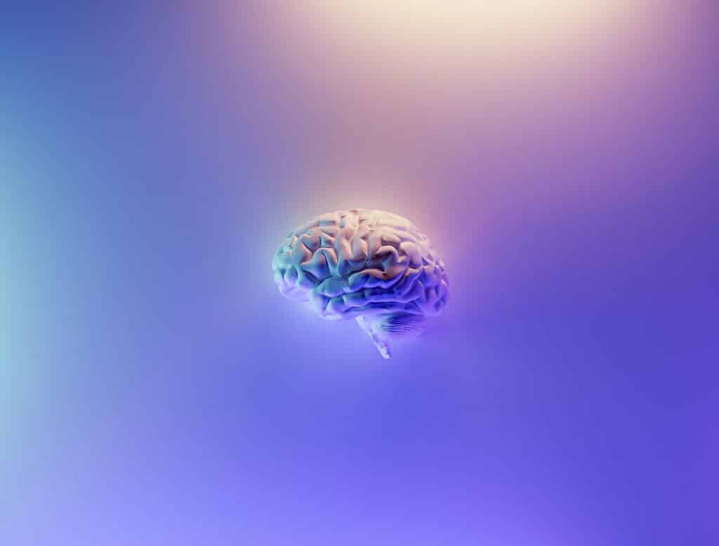 Big brain