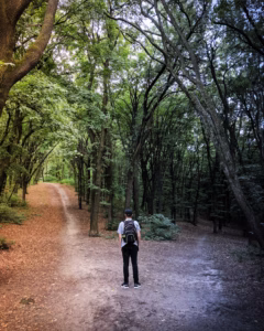 Person standing at a fork in a forest trail, representing the choice between building a branded podcast and buying podcast advertising.